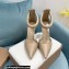 Gianvito Rossi Heel 10.5cm Bijoux Pumps Leather Beige 2023