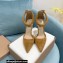 Gianvito Rossi Heel 10.5cm Bijoux Pumps Suede Brown 2023