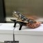 Dior Heel 6.5cm J'Adior Slingback Pumps in Antique Pink Brocart Embroidered Cotton with Gold-Tone Metallic Thread 2023