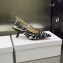 Dior Heel 6.5cm J'Adior Slingback Pumps in Black/White Ornamental Embroidered Cotton 2023