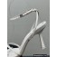 Alexander Wang Heel 8.5cm DAHLIA Sandals Leather White 2023