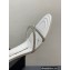 Alexander Wang Heel 5.5cm Dahlia Sandals In Crystal White 2023
