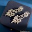 Fendi Earrings 2023