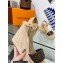 Louis Vuitton Heel 10cm Wedge 6cm Starboard Sandals in Patent Monogram canvas Apricot 2023