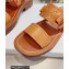 Celine CLEA TRIOMPHE Sandals In Calfskin Brown 2023