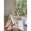 Balenciaga Heel 9cm Cagole Pumps in Arena lambskin White 2023