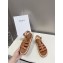 Celine TRIOMPHE Sandals In Calfskin Brown 2023