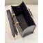 Fendi leather and elaphe Sunshine Medium shopper Bag Dark Gray 2023