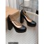 Gianvito Rossi Heel 11.5cm Platform 3.5cm Manila Pumps Leather Black 2023