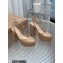 Gianvito Rossi Heel 11.5cm Platform 3.5cm Slingback Pumps Leather Patent Nude 2023