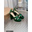Gianvito Rossi Heel 11.5cm Platform 3.5cm Sheridan Sandals Satin Green 2023