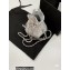 Chanel Shiny Lambskin and Gold-Tone Metal Clutch with Chain Bag AP3272 Silver 2023