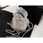 Chanel Shiny Lambskin and Gold-Tone Metal Clutch with Chain Bag AP3272 Silver 2023