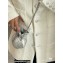 Chanel Shiny Lambskin and Gold-Tone Metal Clutch with Chain Bag AP3272 Silver 2023