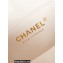 Chanel Lambskin Viscose Weaving and Gold-Tone Metal Small Camera Case Bag AS3768 White 2023