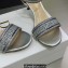 Dior Heel 6.5cm Cotton Embroidered with Strass Dway Sandals Silver 2023