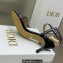 Dior Heel 6.5cm Cotton Embroidered with Strass Dway Sandals Black 2023