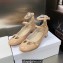 Dior Heel 3.5cm Patent Calfskin Aime Dior Ballerina Pumps Beige 2023