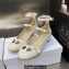 Dior Heel 3.5cm Patent Calfskin Aime Dior Ballerina Pumps White 2023