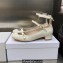 Dior Heel 3.5cm Patent Calfskin Aime Dior Ballerina Pumps White 2023