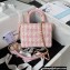 Chanel Small Vanity Case Bag AS3973 Tweed Pink 2023