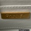 Chanel Small Vanity Case Bag AS3973 Lambskin Pale Green 2023