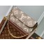 Louis Vuitton Wallet on Chain Ivy Bag Monogram Empreinte leather M82210 Gray
