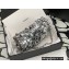 Chanel Sequins Mini Classic Flap Bag AS3523 Silver 2023