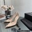 Alexander Wang Heel 10.5cm DELPHINE 105 PUMPs IN MESH/CRYSTAL Nude 2023