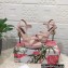 Dolce & Gabbana DG Heel 12cm Platform 1.5cm Logo criss-cross straps sandals Pink 2023