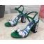 Dolce & Gabbana Heel 10.5cm Blue Printed Floral Sandals Green 2023