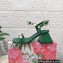Dolce & Gabbana Heel 6.5cm Polished calfskin sandals Green with crystals 2023