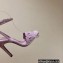 Hermes Heel 10.5cm leather Gala Sandals Violet 2023