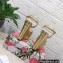 Dolce & Gabbana Heel 15cm Platform 4cm leather wedges sandals Gold 2023