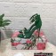 Dolce & Gabbana Heel 10.5cm Polished calfskin sandals Green with rhinestones 2023