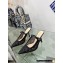 Dior Heel 9.5cm Capture Mules in Transparent Mesh Embroidered with Black Saint-Gall Motif 2023