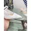 Dior Heel 6.5cm Capture Mules in Transparent Mesh Embroidered with White Saint-Gall Motif 2023