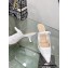 Dior Heel 6.5cm Capture Mules in Transparent Mesh Embroidered with White Saint-Gall Motif 2023
