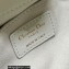 Dior Medium Ammi Bag in Supple Macrocannage Lambskin White 2023