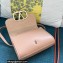 Valentino Vlogo Leather Shoulder Bag 2051 Nude 2023