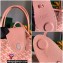 Goyard Anjou Reversible Claire-Voie Mini Tote Bag Pink