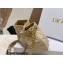 Dior Small Ammi Bag in Supple Macrocannage Lambskin Beige 2023