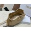 Dior Small Ammi Bag in Supple Macrocannage Lambskin Beige 2023