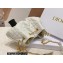 Dior Small Ammi Bag in Supple Macrocannage Lambskin White 2023