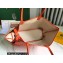 Goyard Chien Gris Pet Tote Bag Orange