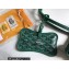 Goyard Chien Gris Pet Tote Bag Green