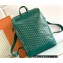 Goyard Cisalpin backpack Bag Green