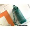 Goyard Cisalpin backpack Bag Green