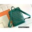 Goyard Cisalpin backpack Bag Green