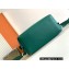 Goyard Cisalpin backpack Bag Green